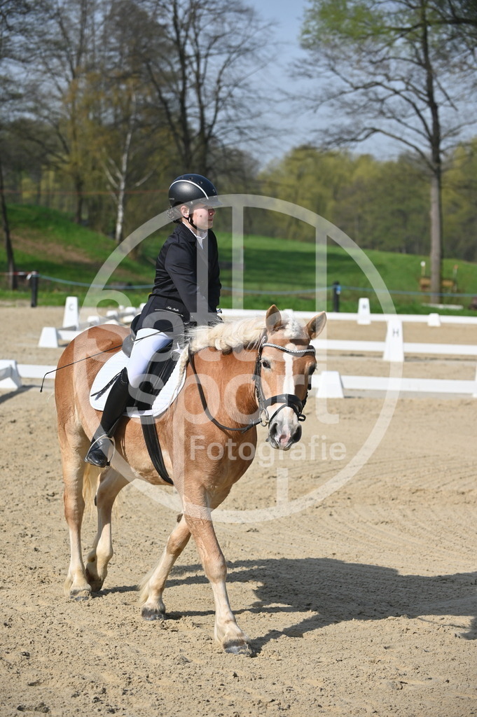 DSC_0334 | sattelsport - Realisiert mit Pictrs.com