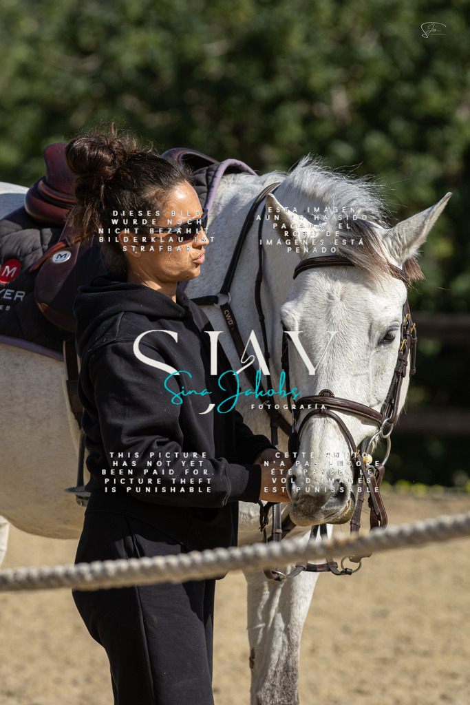 IMG_6730 | s-jay-photography - Realisiert mit Pictrs.com