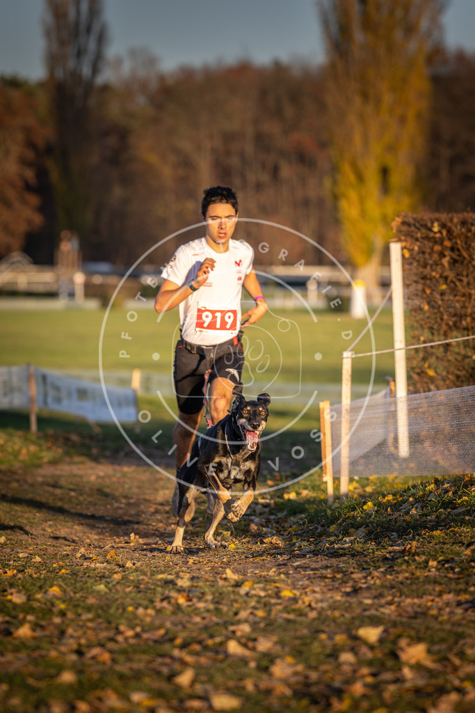 CaniXpix_DV3A4898 | Hundefotografie, Tierfotograf, Pfotenfotografie, Fotoshooting Hund, Hunde Portrait, Hundesport, Hundeportraits, Heideshooting, Hunde, Sportfotograf, Hundefotograf, Turnierhundsport, THS,  - Realisiert mit Pictrs.com