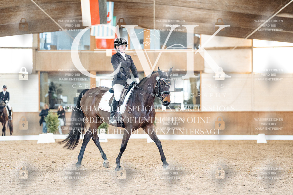 CK908333 | Turnierfotografie Pferdefotografie Trier Rheinland-Pfalz Pferdesport Reitsport Tierfotografie Sportfotografie Pferdevideo Pferdevideografie Equestrianvideography equestrianphotography  - Realisiert mit Pictrs.com