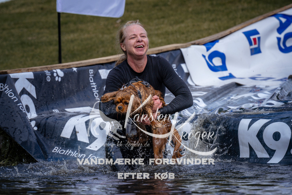 _ZZ910370911 | kk-dogfotos