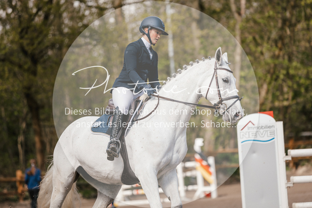 3I6A4100 | Stimmungsvolle Portraits und Reitsportfotografie im Ruhrgebiet und im Münsterland.

Pferdefotografie, Hundefotografie, Tierfotografie, Reportagen, Portraits von Tier und Mensch, Turnierfotografie in Bochum, Recklinghausen, Marl, Haltern am See, Dülmen.. - Realisiert mit Pictrs.com