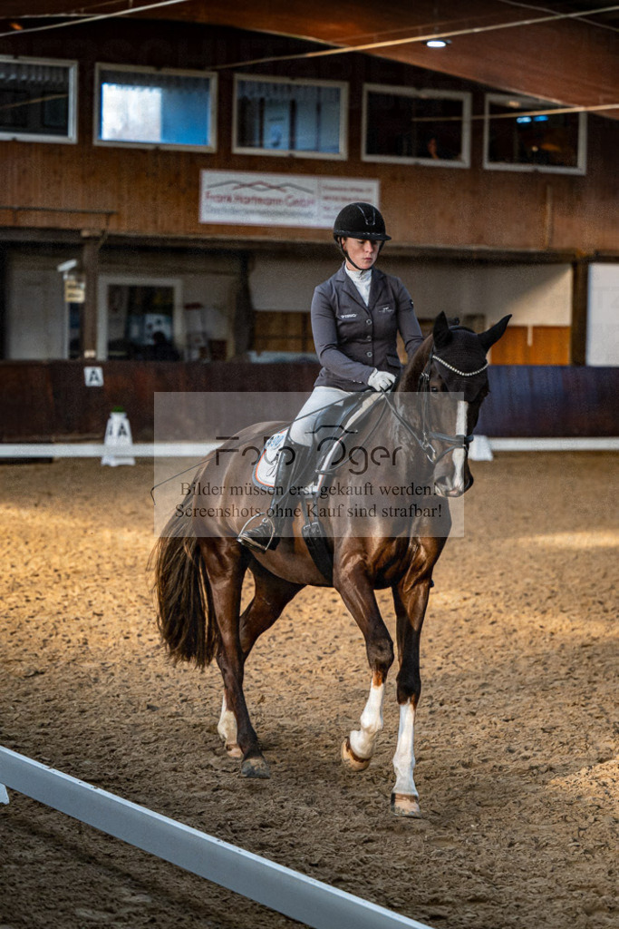 20240308-DOS_4847 | Entdecke hochwertige Reitturnierfotos von Foto Oger. Professionell, emotional und authentisch – jetzt Lieblingsmomente im Shop bestellen.Deutschlandweite Turnierfotografie. - Realisiert mit Pictrs.com