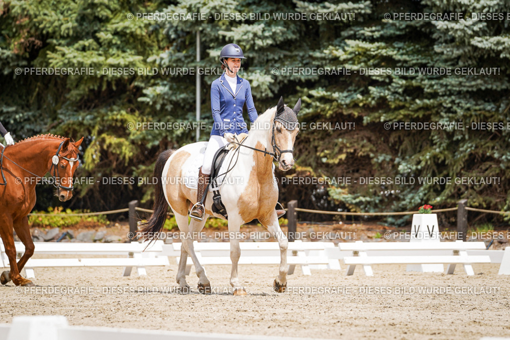 DSC03598 | Pferdegrafie