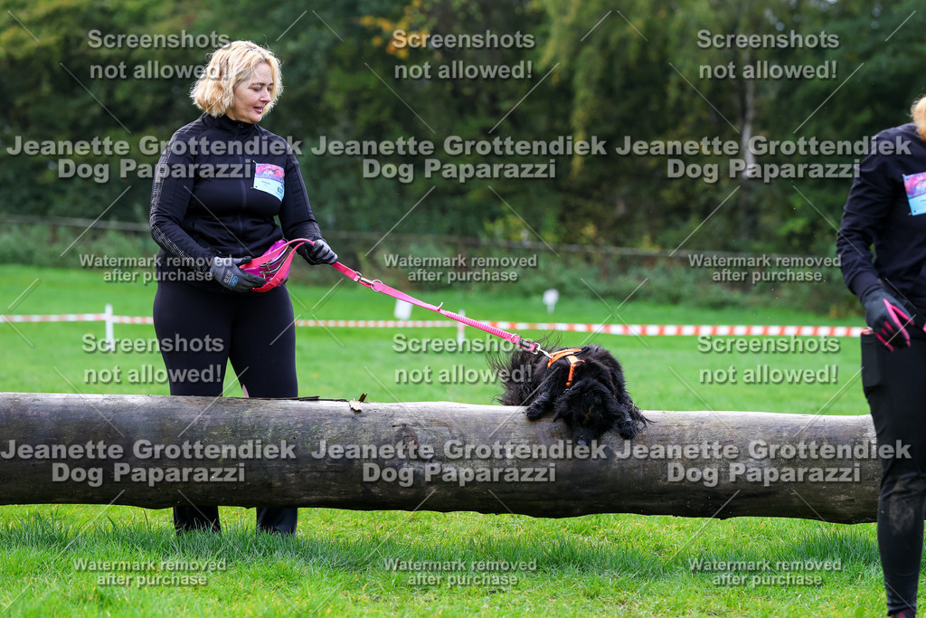 Dog Paparazzi -  SD1026-1140 | Dog Paparazzi Jeanette Grottendiek Fotografie & Videografie - Realisiert mit Pictrs.com