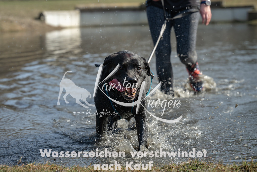 1237_ZZ91096 | kk-dogfotos