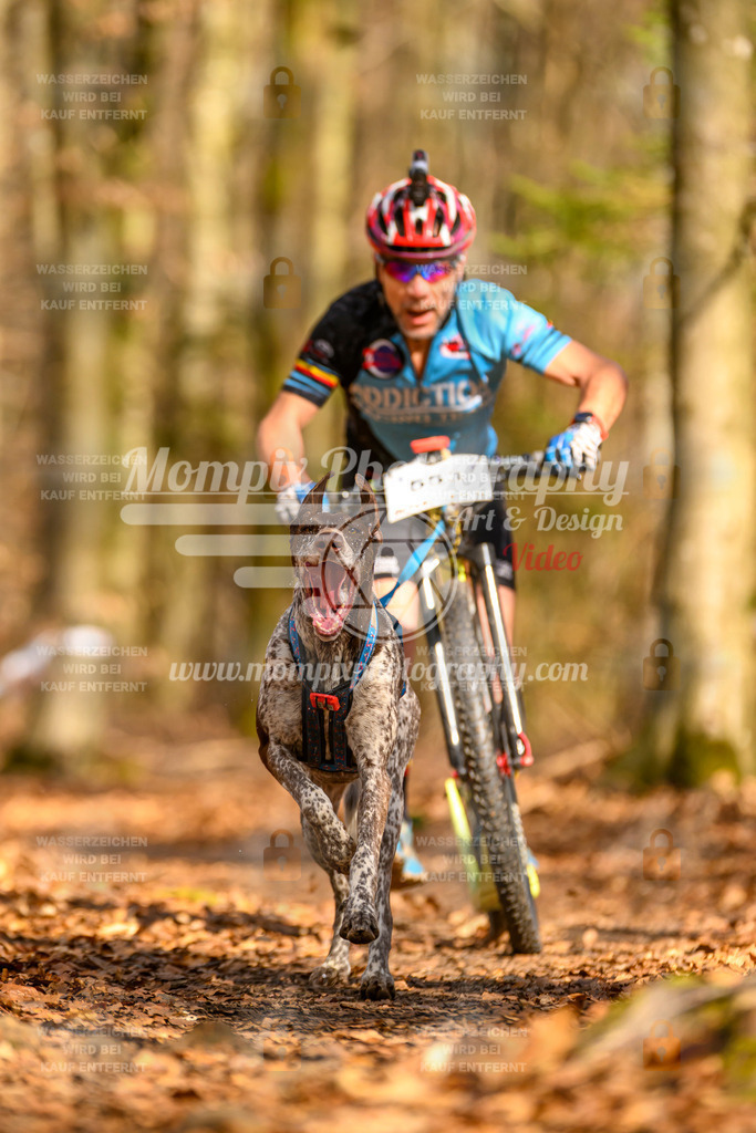 MompixPhotography_Habay2025_SA_SCO-1 | PayLife