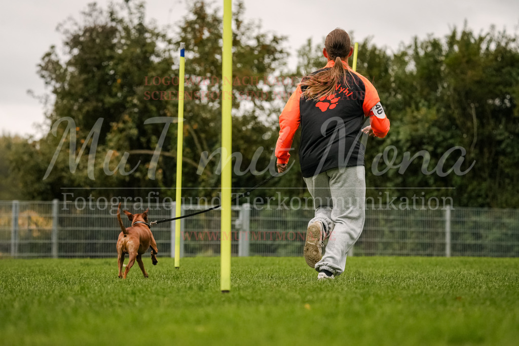 20251005_THS_Turnier-480 | MuT (Mensch und Tier) mit Mona - Fotografie und Tierkommunikation - Realisiert mit Pictrs.com
