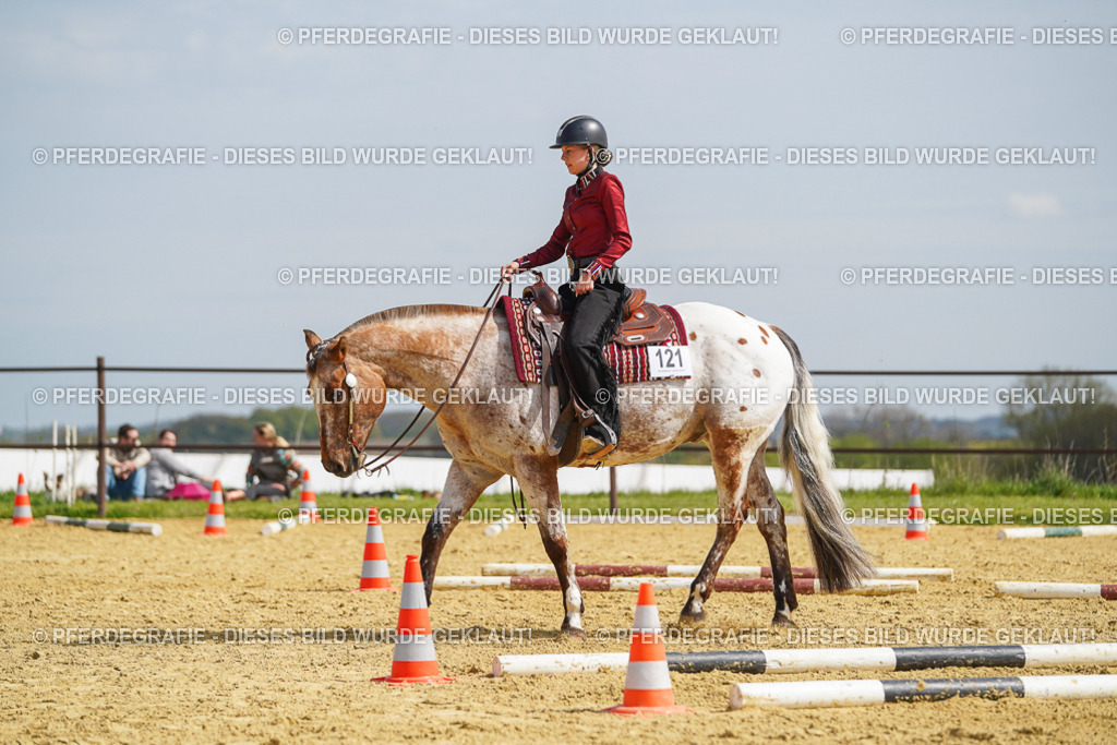 DSC04428 | Pferdegrafie