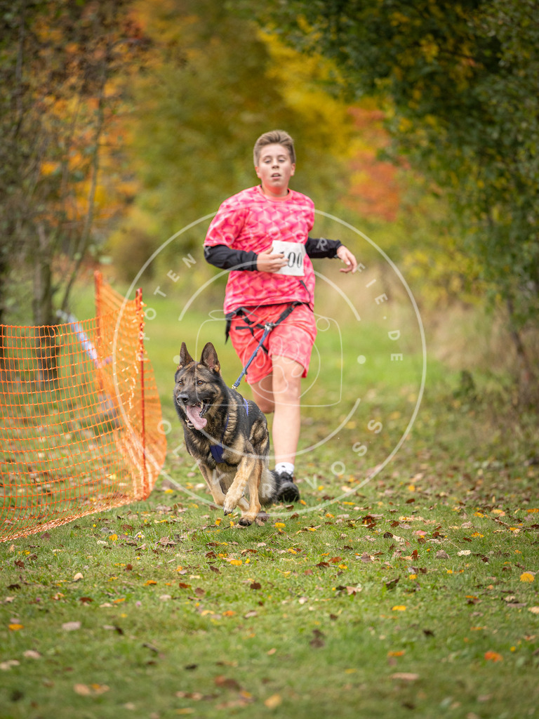 Pfotenfotografie_DV3A3453 | Hundefotografie, Tierfotograf, Pfotenfotografie, Fotoshooting Hund, Hunde Portrait, Hundesport, Hundeportraits, Heideshooting, Hunde, Sportfotograf, Hundefotograf, Turnierhundsport, THS,  - Realisiert mit Pictrs.com