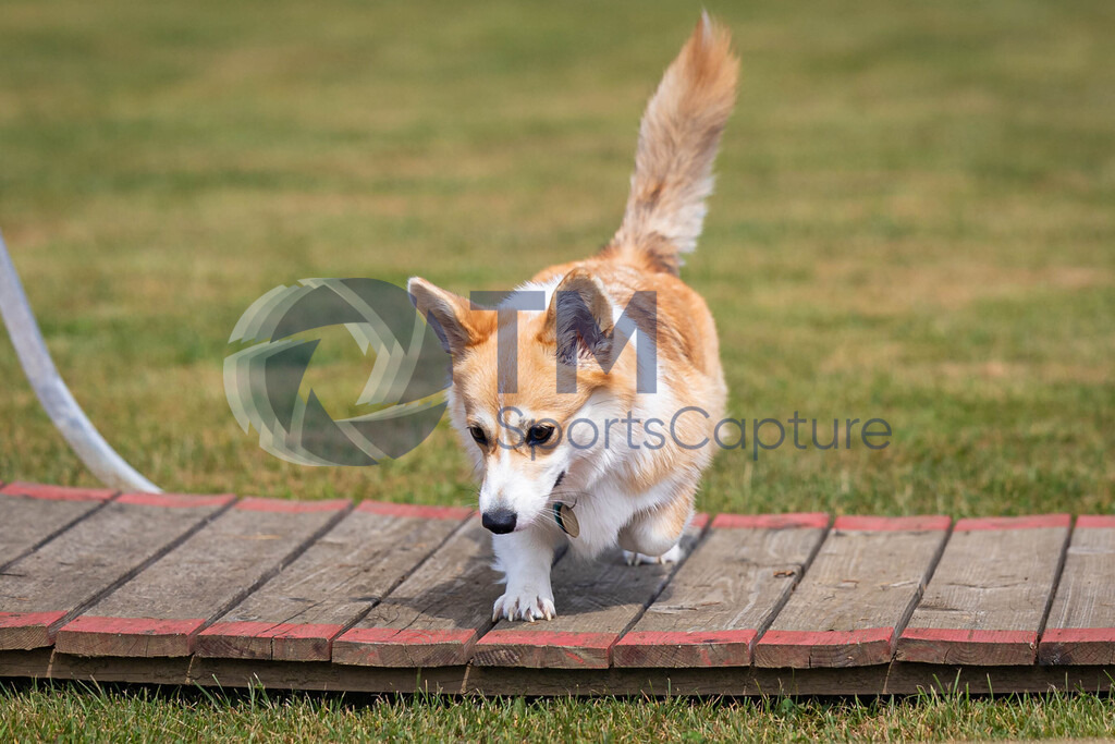 TP-20240815-0201 | Copyright: Trainproduction / Matthias Trinkl