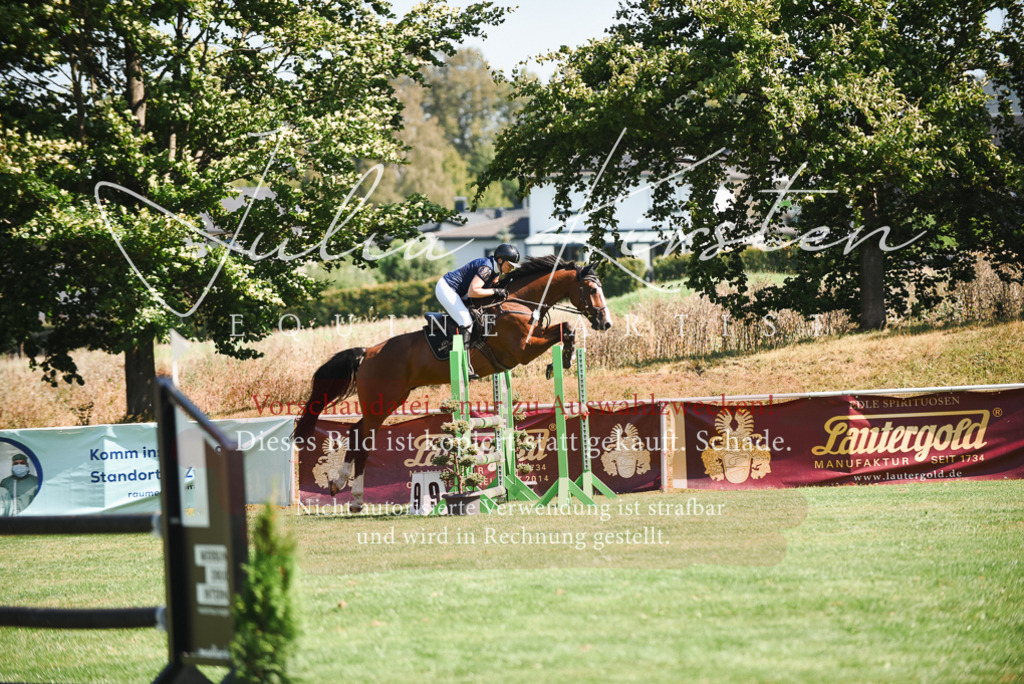 DSC_2799 | Pferde- und Turnierfotografie in Westsachsen. Pferdeportraits, Auftragszeichnungen und intuitive Kunst.