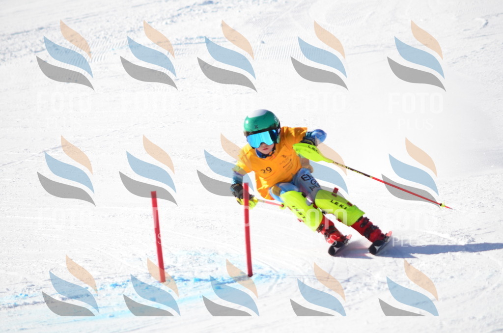 C6419 | holidayphoto