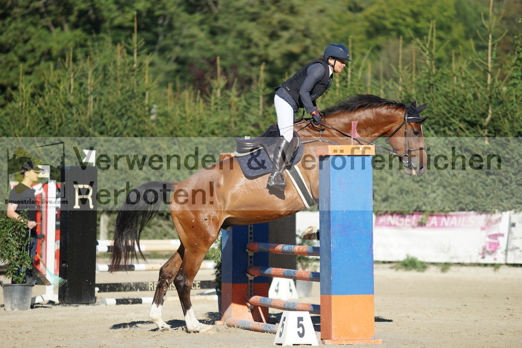 DSC08263 | equestrian-live-com
