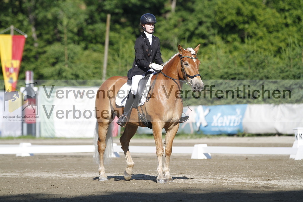 _MG_0437 | equestrian-live-com