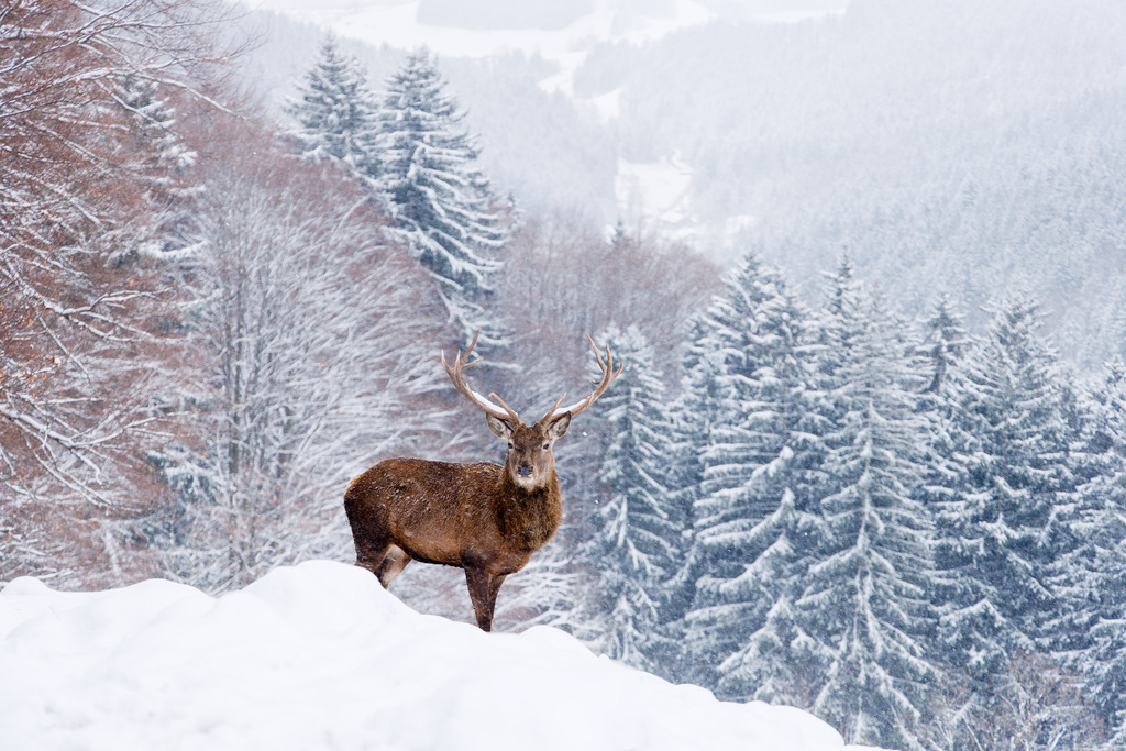 GT2A9984 | ap-design // andreas plenk - Realisiert mit Pictrs.com