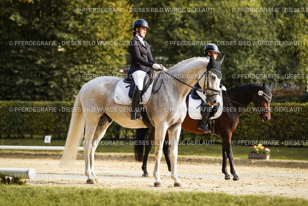 DSC05789 | Pferdegrafie