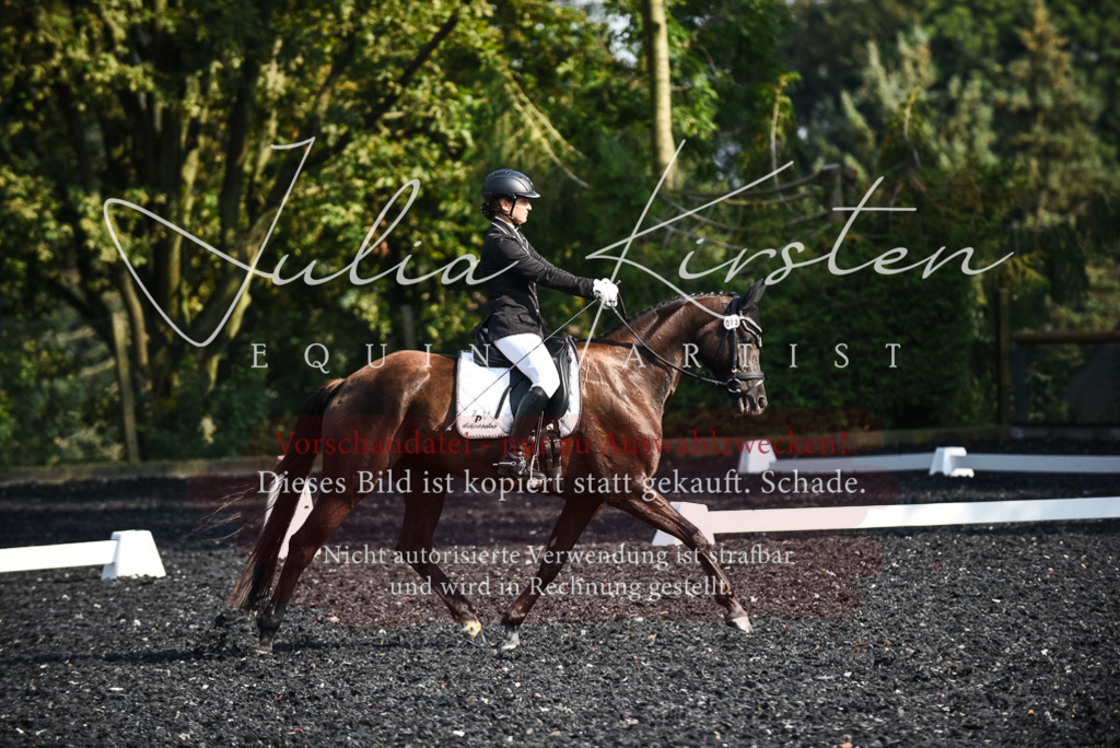 DSC_3177 | Pferde- und Turnierfotografie in Westsachsen. Pferdeportraits, Auftragszeichnungen und intuitive Kunst.