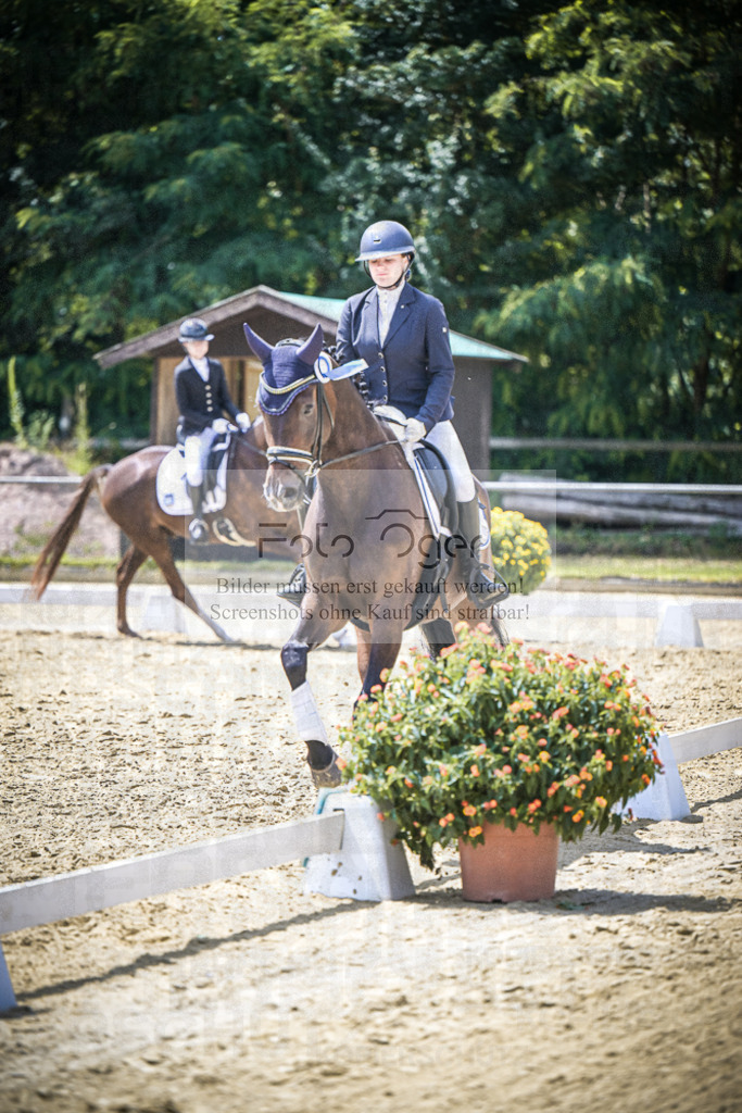 DOS_3634 | Entdecke hochwertige Reitturnierfotos von Foto Oger. Professionell, emotional und authentisch – jetzt Lieblingsmomente im Shop bestellen.Deutschlandweite Turnierfotografie. - Realisiert mit Pictrs.com