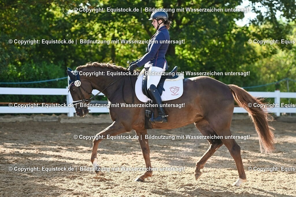 20230715_06_Dressurpferdeprfg. Kl.A_0138 | equistock