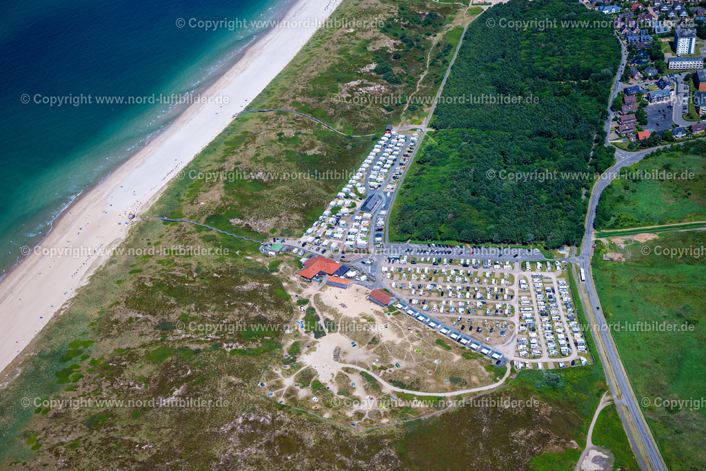 Sylt_Westerland_Campingplatz_Wald_ELS_4553210625 | SYLT 21.06.2025 Wohnwagen und Zelte- Campingplatz - und Zeltplatz in Westerland auf Sylt im Bundesland Schleswig-Holstein, Deutschland. Weiterführende Informationen bei: Campingplatz Westerland. // Camping with caravans and tents in Westerland at Sylt in the state Schleswig-Holstein, Germany. Further information at: Campingplatz Westerland. Foto: Martin Elsen