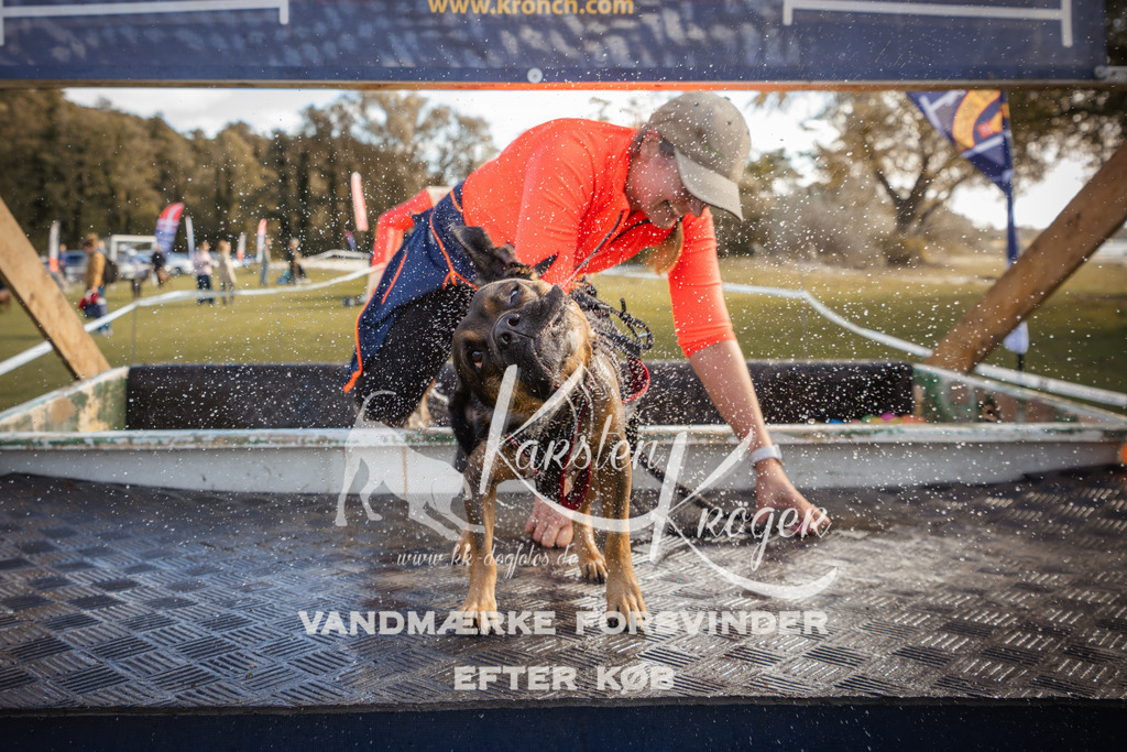 1311_ZZ99491-2 | kk-dogfotos