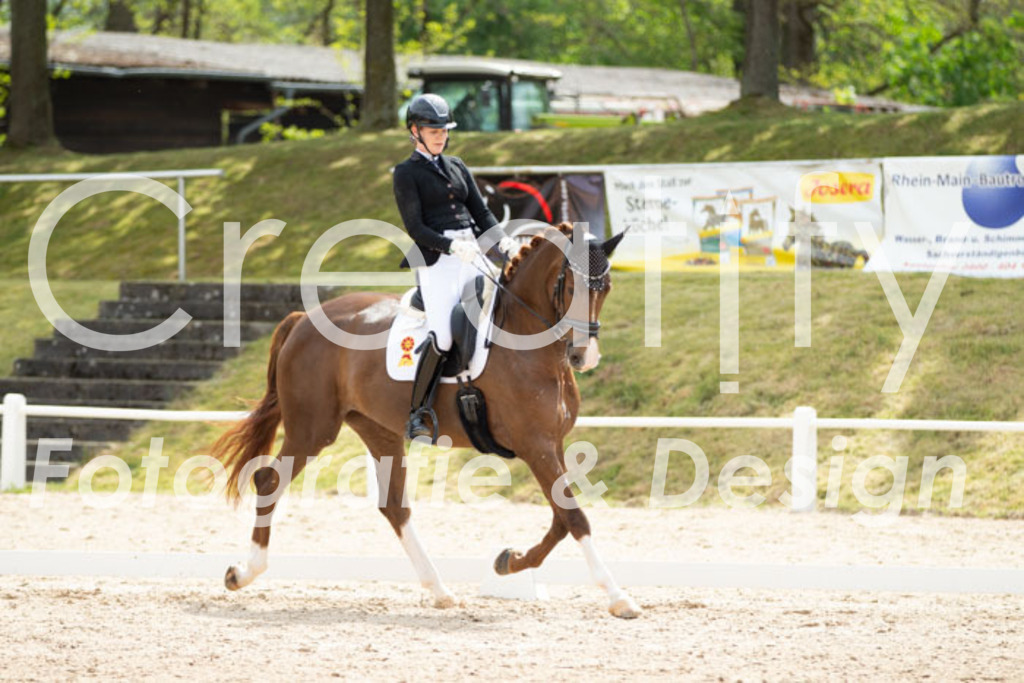 IMG_2269 | Creatify Fotografie