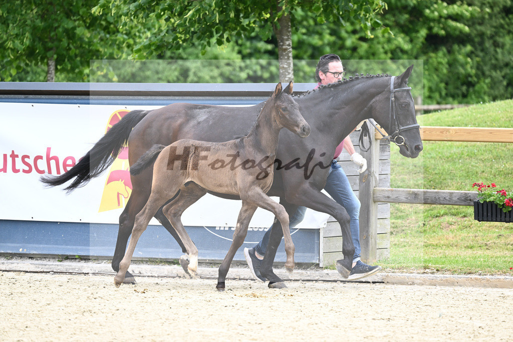 Kat-Nr. 27 SF DSP Feliciano_Sanladerer_17230399 | hf-fotografie - Realizzato con Pictrs.com