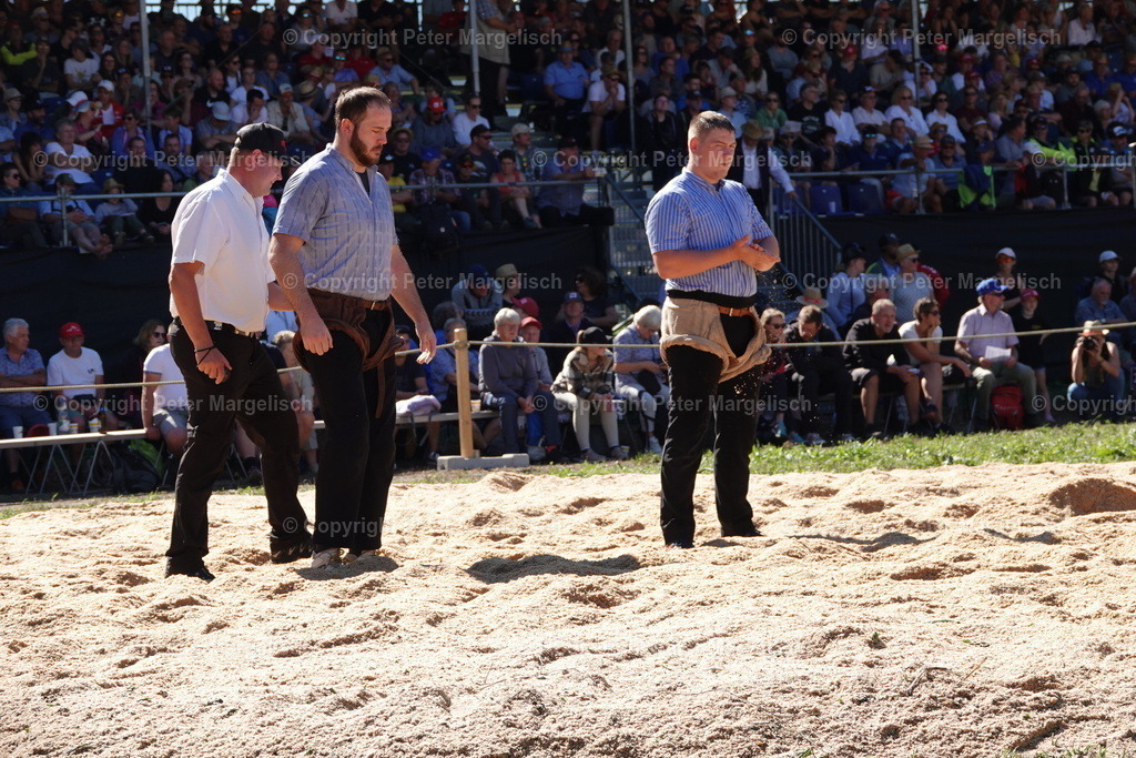 DSC01684 | Schwingen - Realisiert mit Pictrs.com