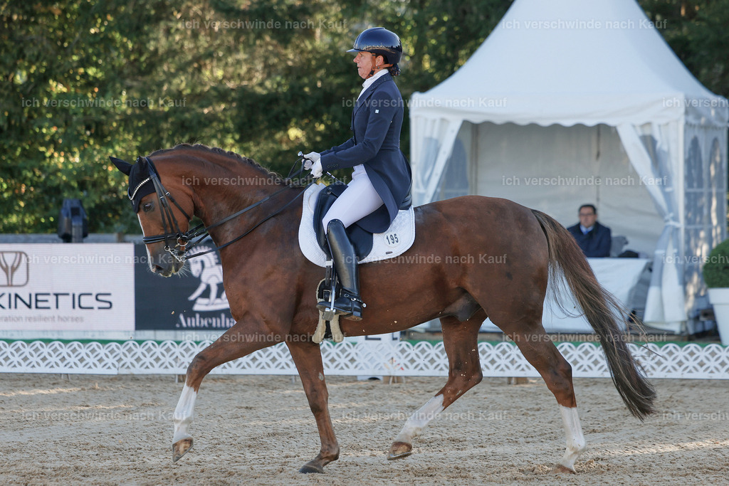 09_1-195-DRESSUR  S_  -StoibPH-5505 | working equitationturnier fotograf videograf stoibphotography marixx film working equitation deutschland reitsport turnierfotografie eventfotografie equestrian events