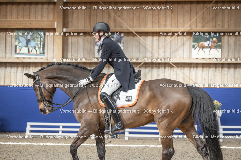 _D5A2333 | Emotionale Pferde- & People-Fotografie rund um Heidelberg, Leimen & Umgebung. Natürliche Fotos von Pferd, Mensch & Familie. Jetzt Termin sichern!