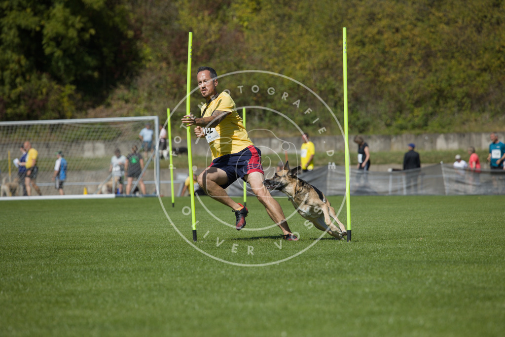 0L8A6165 | Hundefotografie, Tierfotograf, Pfotenfotografie, Fotoshooting Hund, Hunde Portrait, Hundesport, Hundeportraits, Heideshooting, Hunde, Sportfotograf, Hundefotograf, Turnierhundsport, THS,  - Realisiert mit Pictrs.com