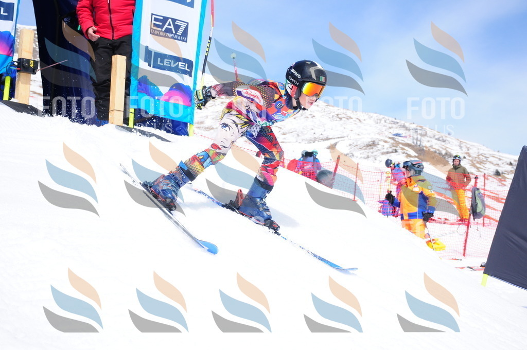 DSC_3430 | holidayphoto