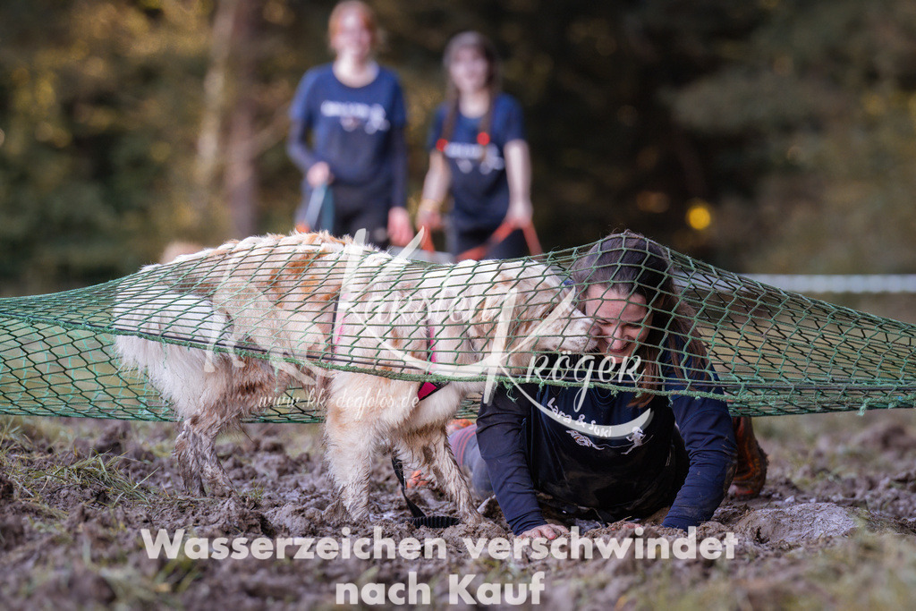 1055_ZZ93201 | kk-dogfotos