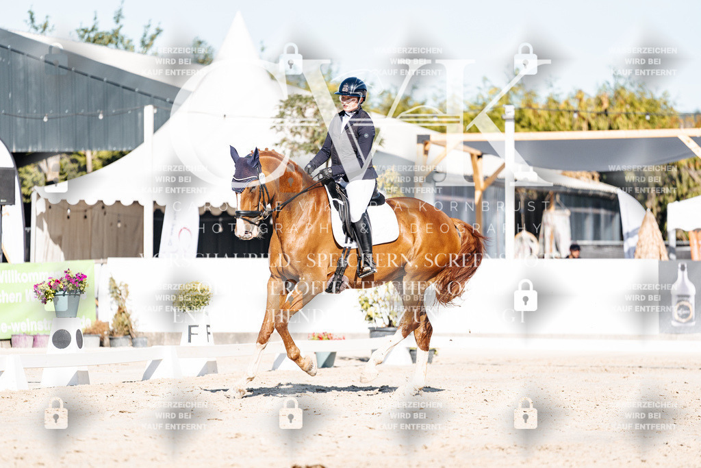 CK907672 | Turnierfotografie Pferdefotografie Trier Rheinland-Pfalz Pferdesport Reitsport Tierfotografie Sportfotografie Pferdevideo Pferdevideografie Equestrianvideography equestrianphotography  - Realisiert mit Pictrs.com