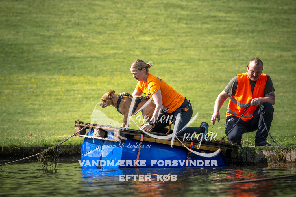 0834_ZZ99457 | kk-dogfotos