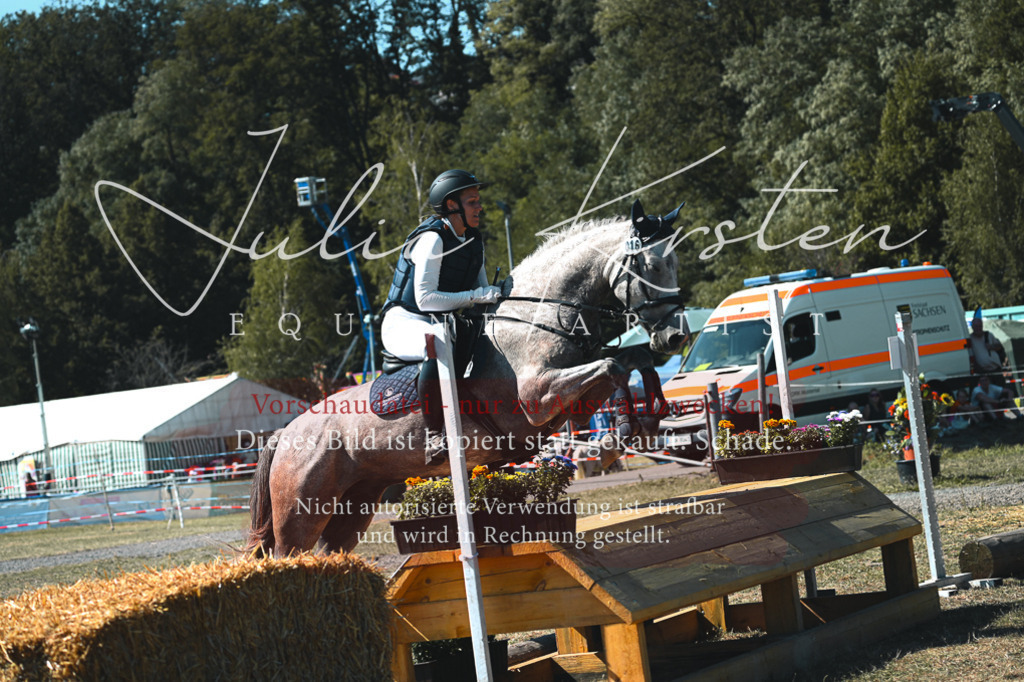 DSC_8192 | Pferde- und Turnierfotografie in Westsachsen. Pferdeportraits, Auftragszeichnungen und intuitive Kunst.