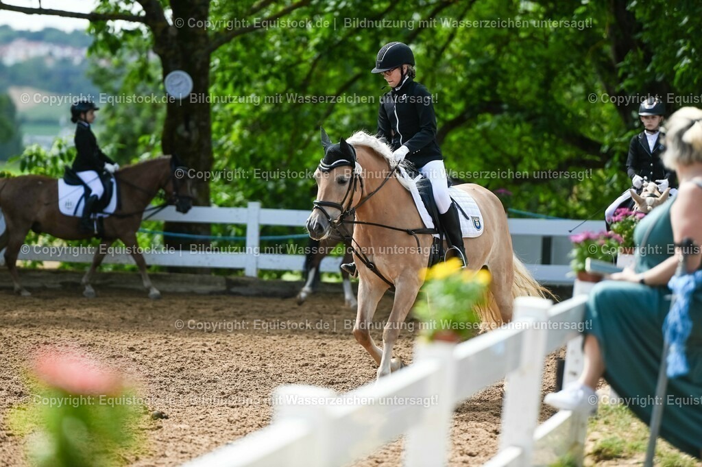 20230716_10-3_Reiter-WB Schritt - Trab - Galopp_0097 | equistock