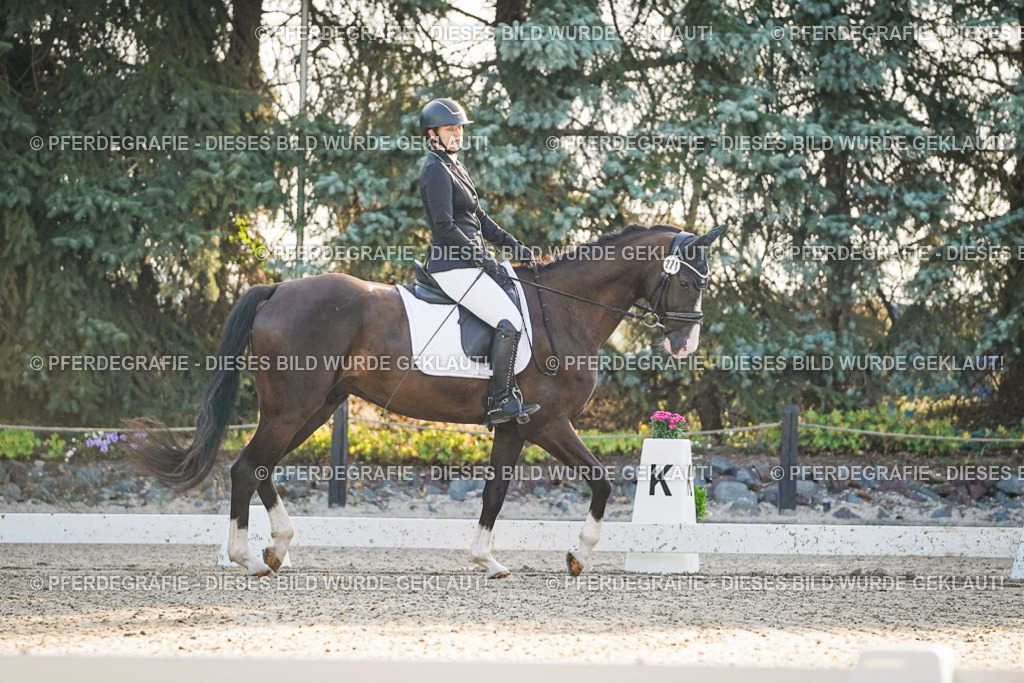 DSC07834 | Pferdegrafie