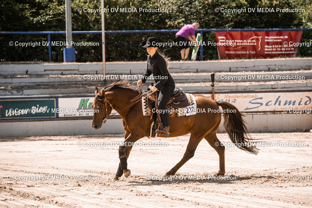 ZS3_0070 | dv-media-shop - Realisiert mit Pictrs.com