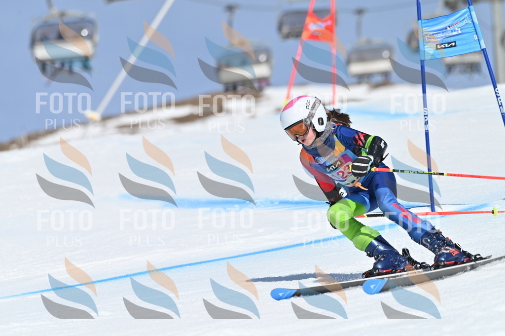 BGV_9866 | holidayphoto