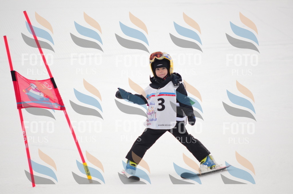 B8911 | holidayphoto