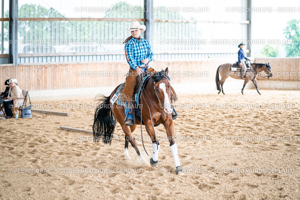 DSC08190 | Pferdegrafie