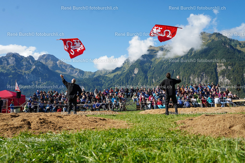 DSC01185 | René Burch leidenschaftlicher Fotograf aus Kerns in Obwalden.  Hier finden sie Sport, Landschaft und Natur Fotografie.
 - Realisiert mit Pictrs.com