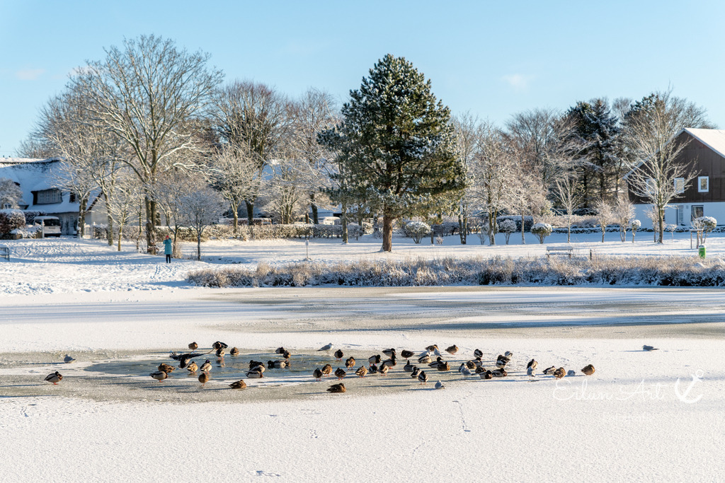 20260104-EAF_8255 | Eilun-Art-Fotografie Levke Martens, ihre Fotografin für Immobilien- und Landschaftsfotografie auf Föhr, Föhrer Motive als Poster, Leinwand, hinter Acrylglas oder stelle dir deinen eigenen Monatskalender zusammen, mit nur einem Klick