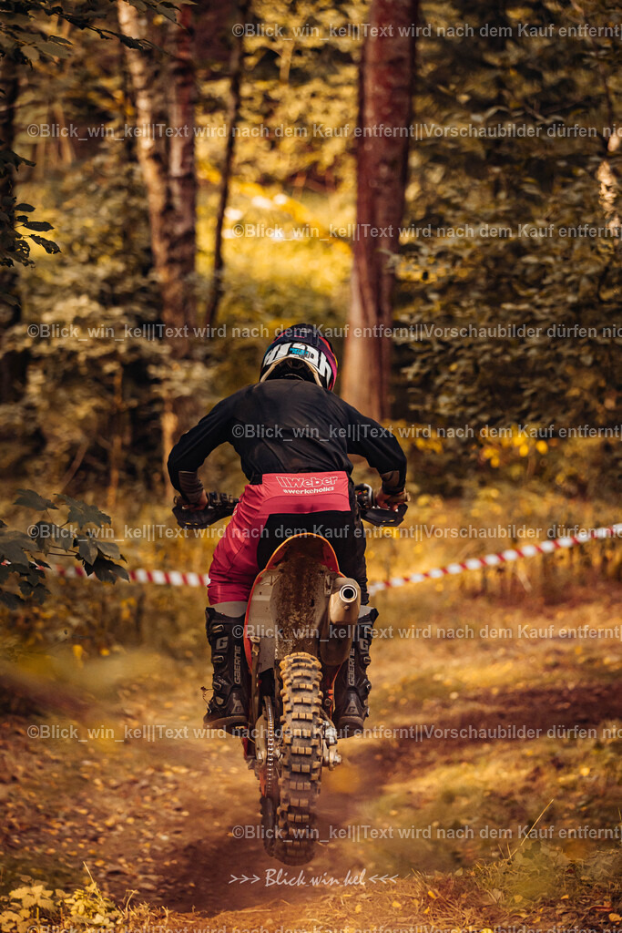 E68A3982 | blick_win_kel