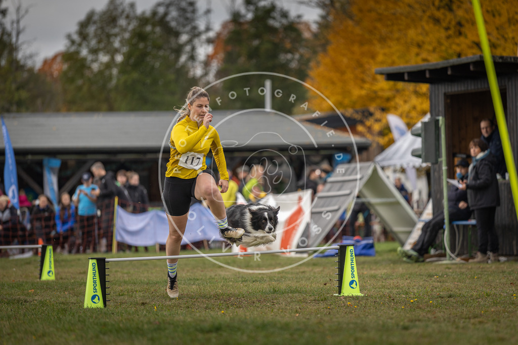 Pfotenfotografie_DV3A6677 | Hundefotografie, Tierfotograf, Pfotenfotografie, Fotoshooting Hund, Hunde Portrait, Hundesport, Hundeportraits, Heideshooting, Hunde, Sportfotograf, Hundefotograf, Turnierhundsport, THS,  - Realisiert mit Pictrs.com