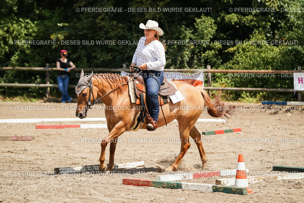 DSC07819 | Pferdegrafie