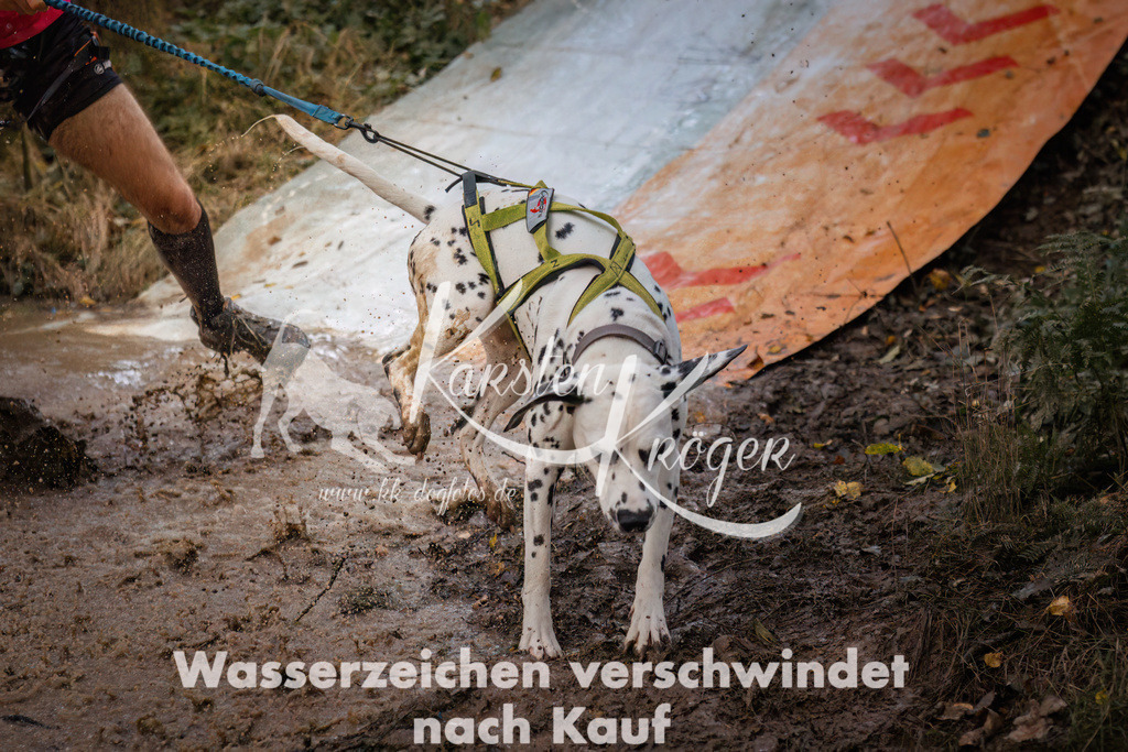 0824_ZZ90469 | kk-dogfotos