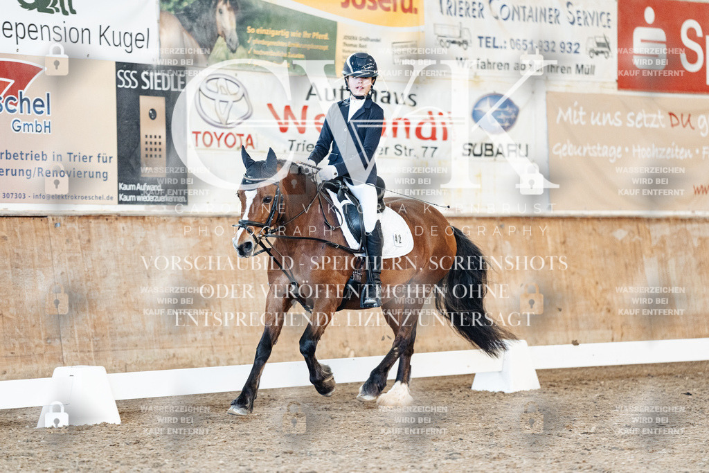CK907902 | Turnierfotografie Pferdefotografie Trier Rheinland-Pfalz Pferdesport Reitsport Tierfotografie Sportfotografie Pferdevideo Pferdevideografie Equestrianvideography equestrianphotography  - Realisiert mit Pictrs.com